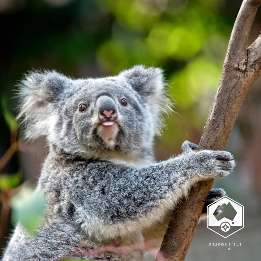 Australia Is 12th in the World for AI Adoption